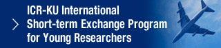 ICR Young Researcher International Internship and International Visitors: Journals
