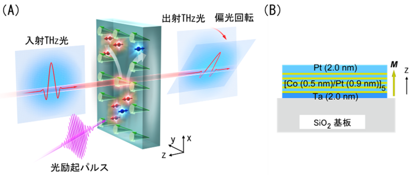 スピン歳差運動をテラヘルツ光で読み出す技術を開発～スピンとテラヘルツがつなぐ磁気インターフェースの構築～